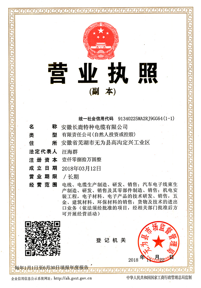 安徽營業(yè)執(zhí)照副本